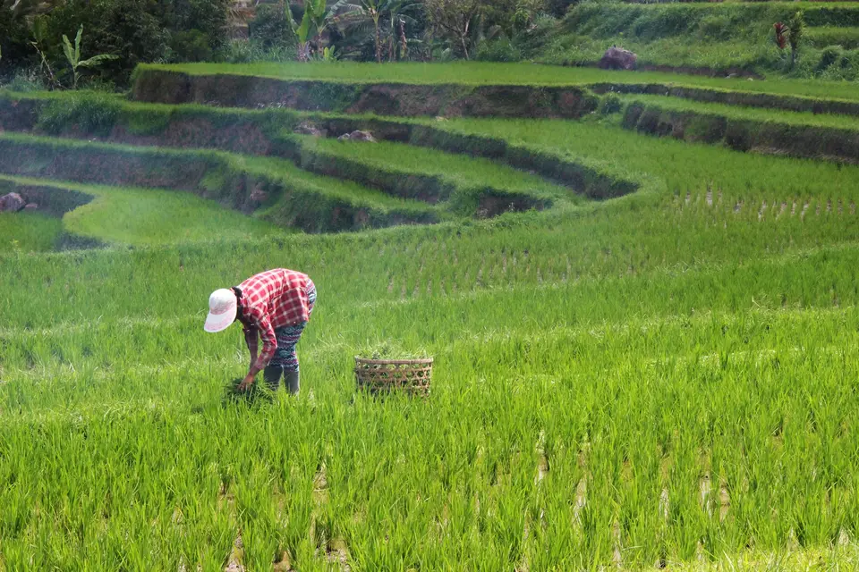 Bali photoshoot — portfolio photo 1