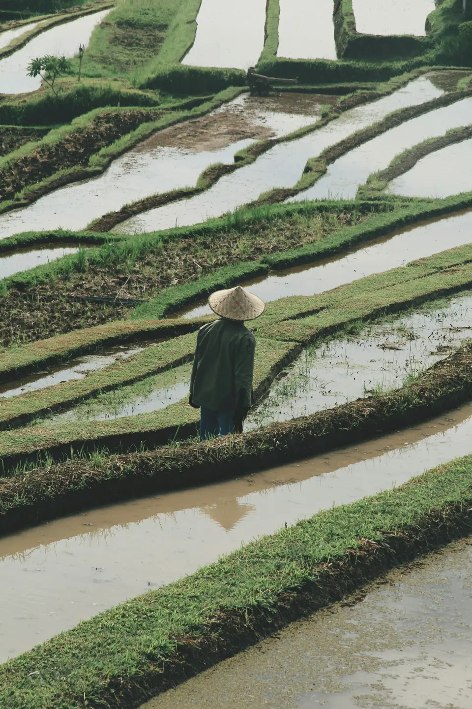 Bali photoshoot — 5