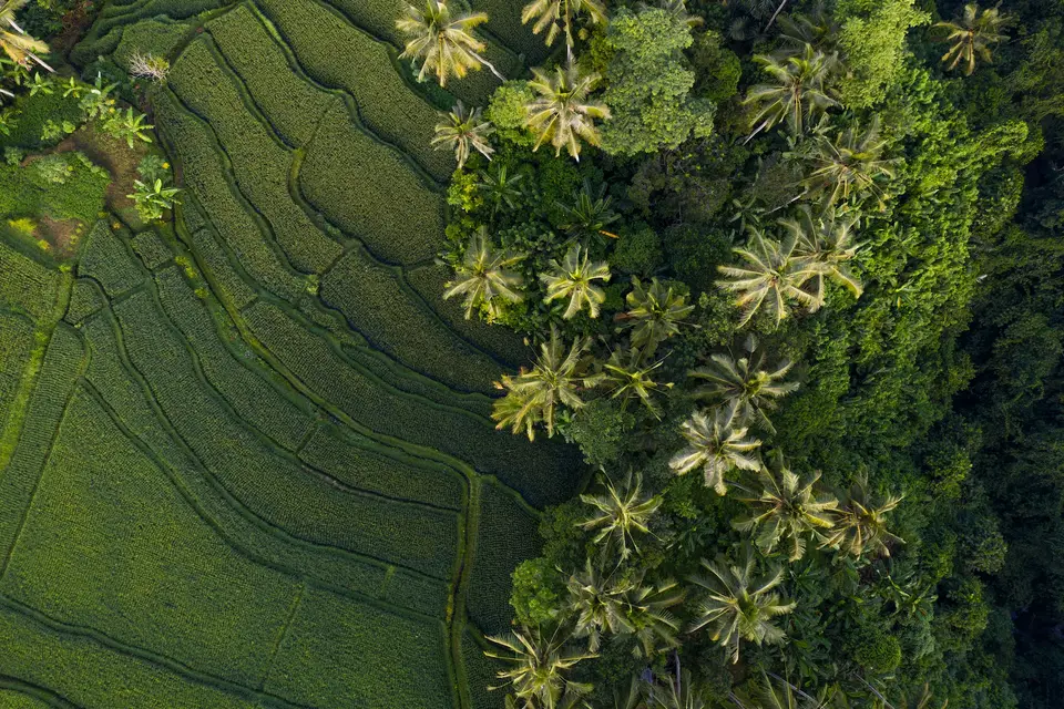 Drone photoshoot — portfolio photo 1