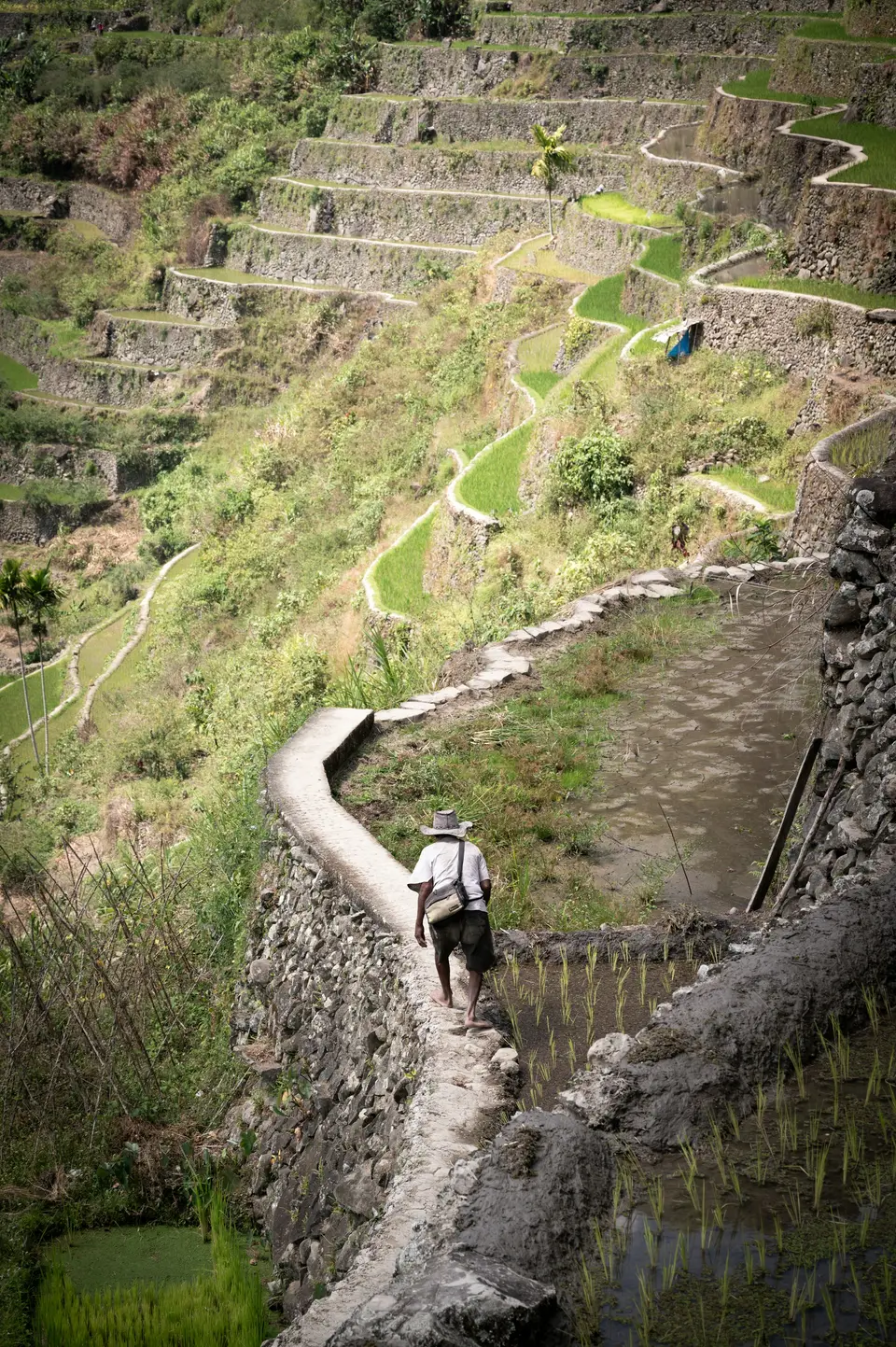 Solo travel photoshoot — 4